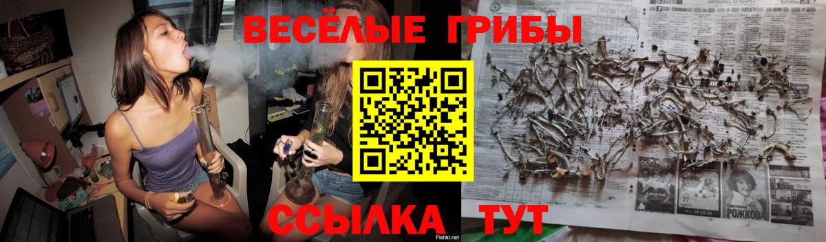 Псилоцибиновые грибы Psilocybine cubensis  Псилоцибиновые грибы ЛСД  Вход с VPN  Славянск-на-Кубани 