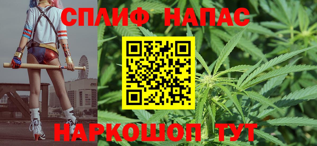 Каннабис Bruce Banner Славянск-на-Кубани